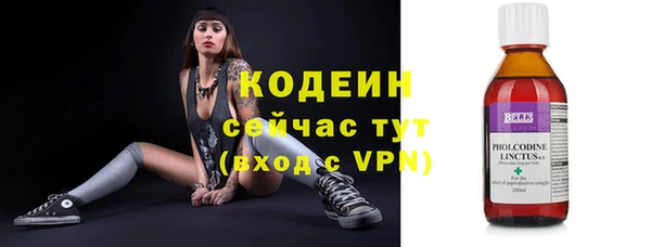 дживик Абаза