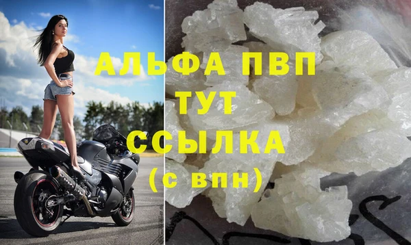 дживик Абаза