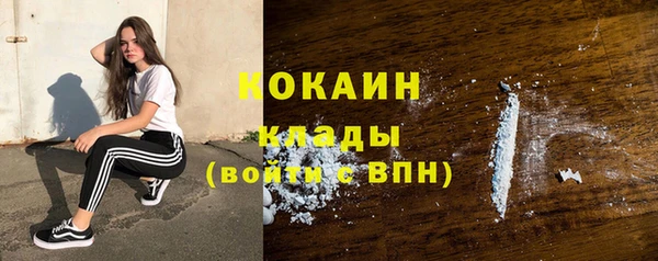 дживик Абаза