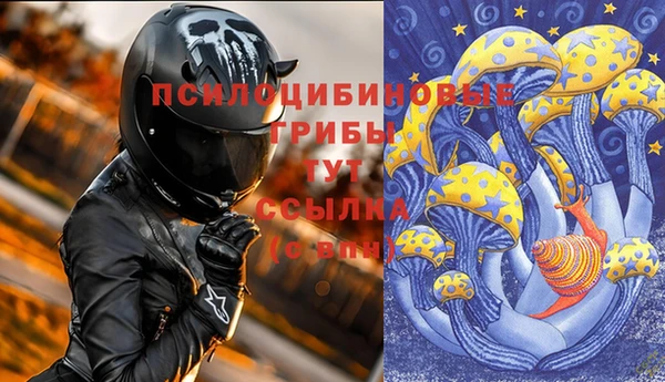 дживик Абаза
