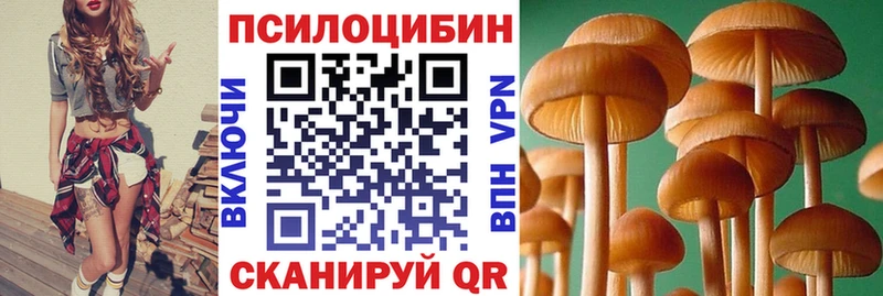 omg ONION  Александровск  Галлюциногенные грибы Psilocybe 