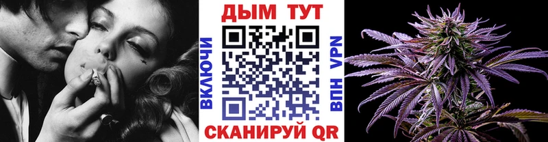 Канабис конопля  Александровск 